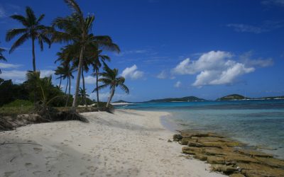 Les grenadines