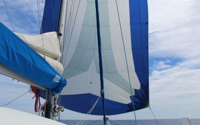 The transat day 4