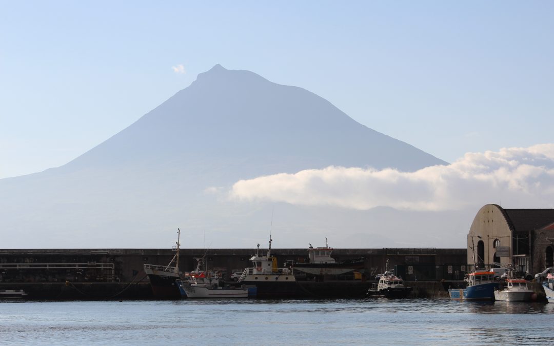 Faial, un petit air de Bretagne