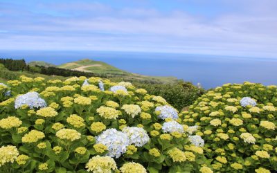 Sao Miguel, un joyau perdu dans l’atlantique