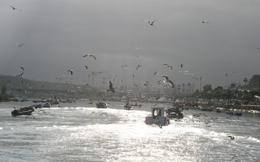 Traversée Tanger-Rabat